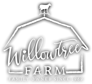 Willowtree Logo